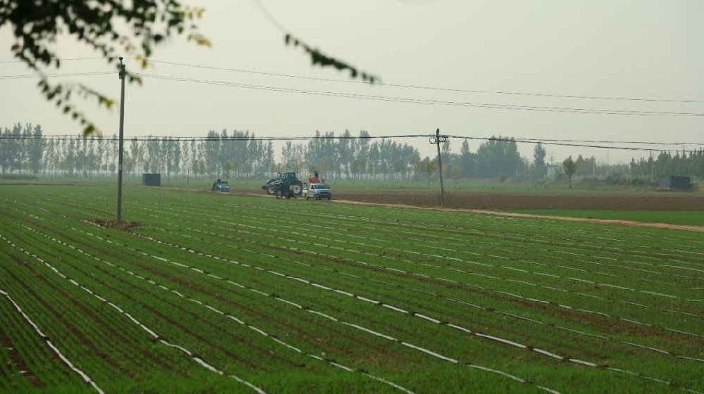 努力让农田“高产”又“绿色”