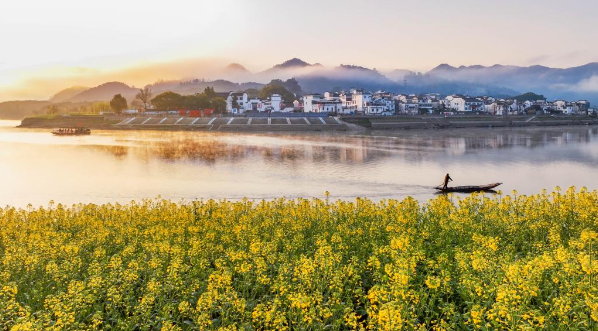 从“双碳”目标到生态环境法典