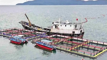 水下机器人为海洋牧场“解忧”